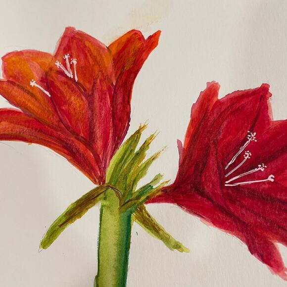 Hand painted watercolor original painting Christmas lily - Picture 2 of 4